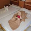 Villa Playa Larga - Single Single Room