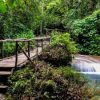 Aventura en la Montaña - Imagen 2