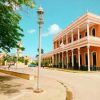 Azúcar, Tabaco y Ron - Santa María - Imagen 3