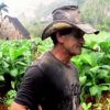 Campiña Cubana - Imagen 6
