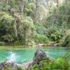 Excursión a el Nicho, Trinidad - Imagen 7