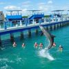 Seatour - Jardines del Rey - Imagen 4