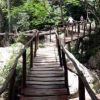 Excursión a caballo a la cascada