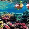 Seatour - Jardines del Rey - Imagen 3